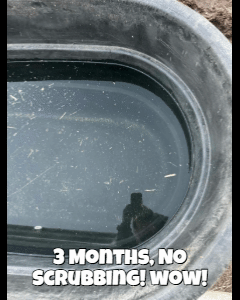 {{brizy_dc_image_alt entityId=