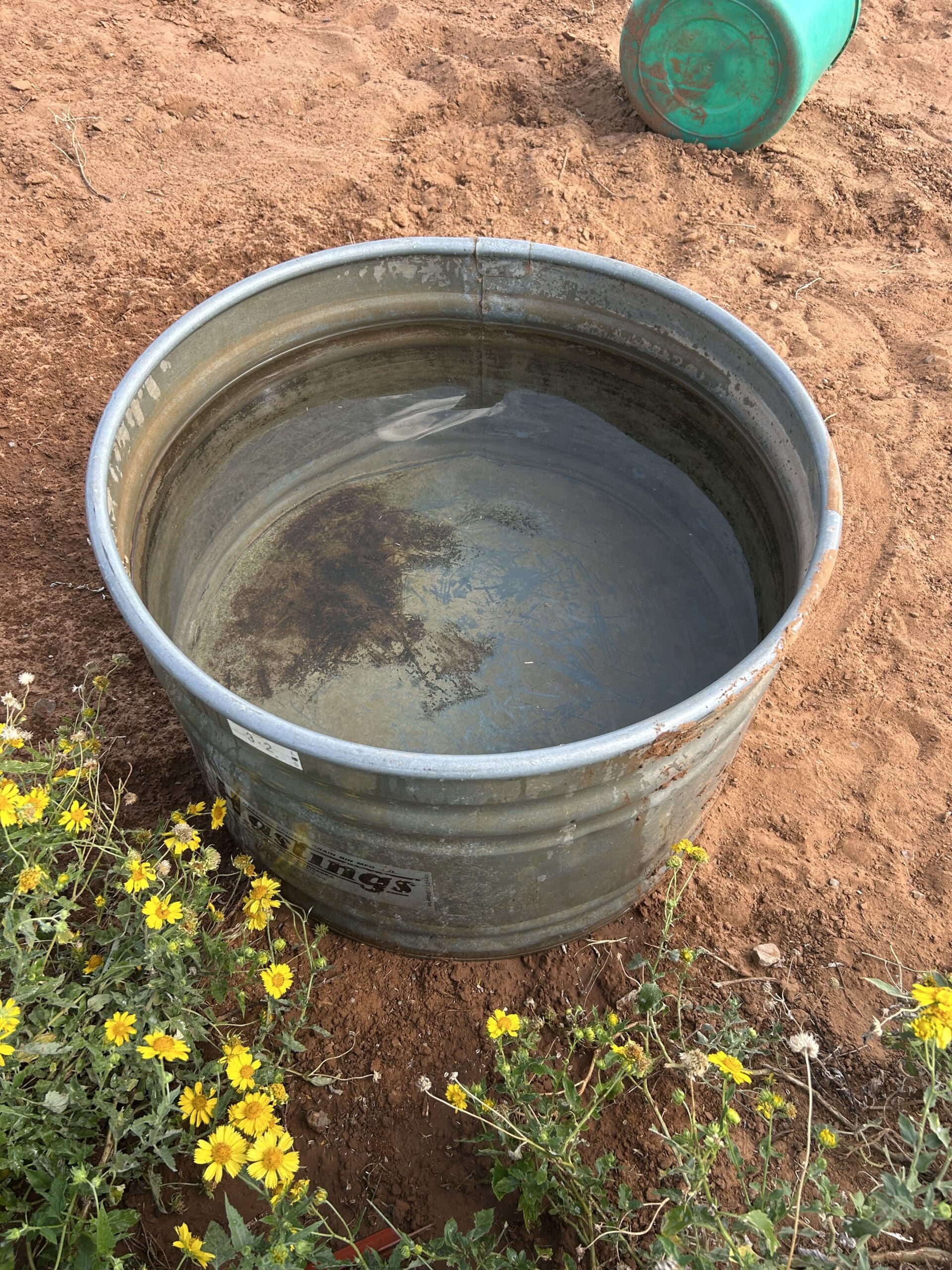 {{brizy_dc_image_alt entityId=