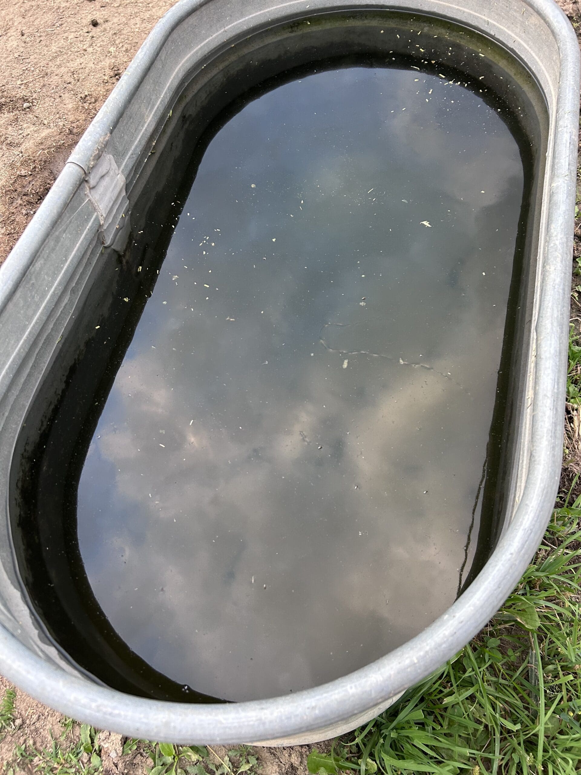 {{brizy_dc_image_alt entityId=