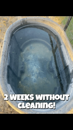 {{brizy_dc_image_alt entityId=