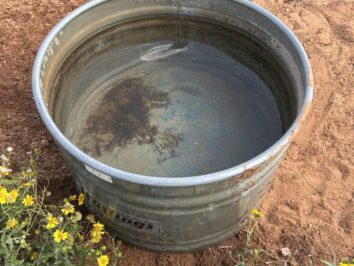 {{brizy_dc_image_alt entityId=