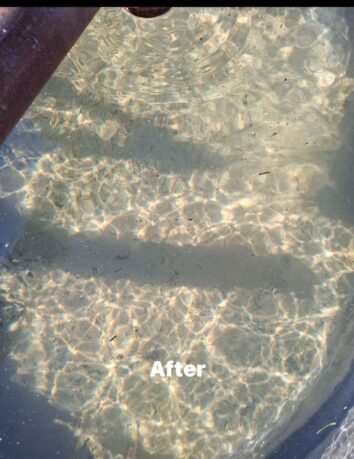 Tank After {{brizy_dc_image_alt imageSrc=